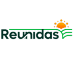 cliente7